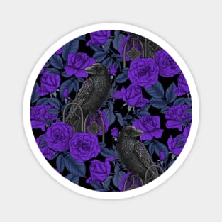 Ravens and violet roses Magnet